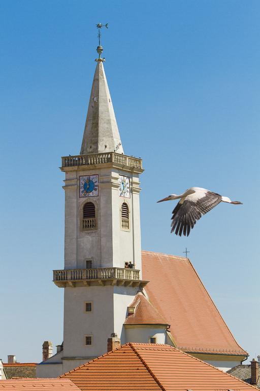 Unser Rosa Haus Fuer Sie Rust Ruang foto
